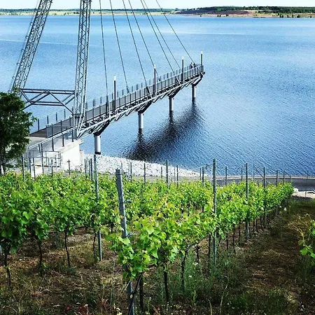 Seeblick - Direkt Am Hafen *